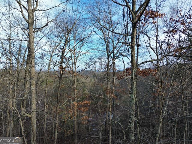 TRACT 1 Century Lane, Blue Ridge, GA 30513