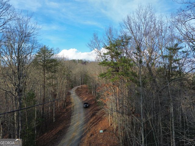 TRACT 1 Century Lane, Blue Ridge, GA 30513
