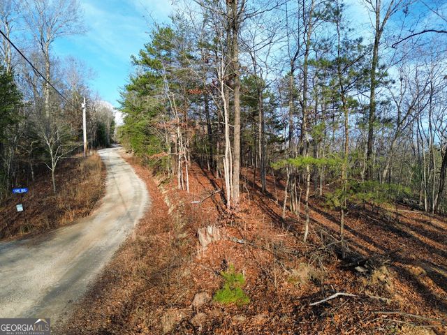 TRACT 1 Century Lane, Blue Ridge, GA 30513