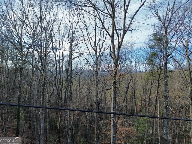 TRACT 1 Century Lane, Blue Ridge, GA 30513