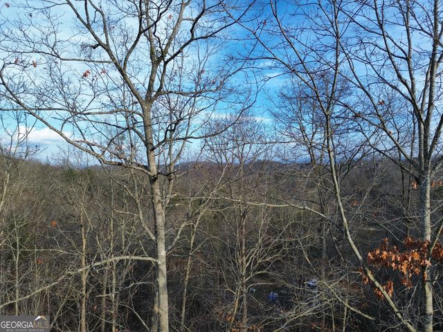 TRACT 1 Century Lane, Blue Ridge, GA 30513