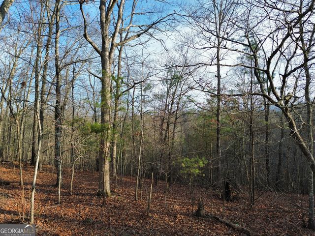 TRACT 1 Century Lane, Blue Ridge, GA 30513