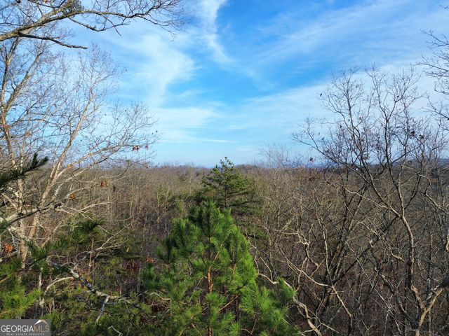 TRACT 1 Century Lane, Blue Ridge, GA 30513