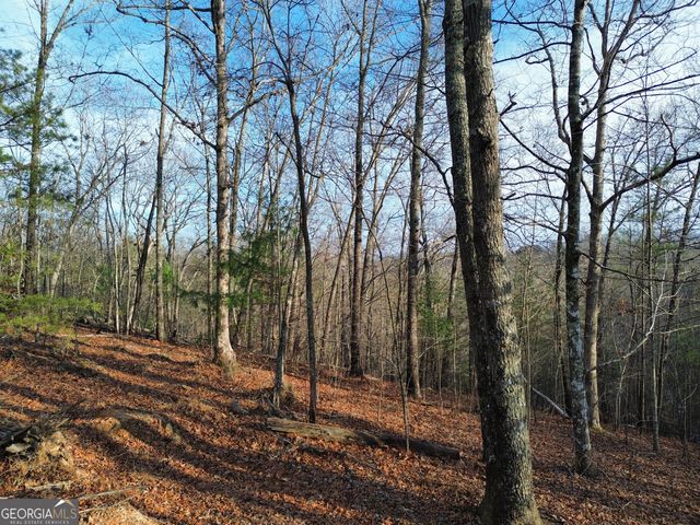 TRACT 1 Century Lane, Blue Ridge, GA 30513