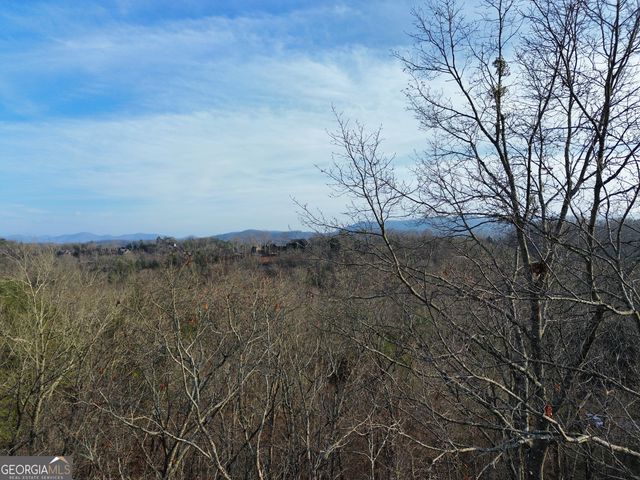 TRACT 1 Century Lane, Blue Ridge, GA 30513
