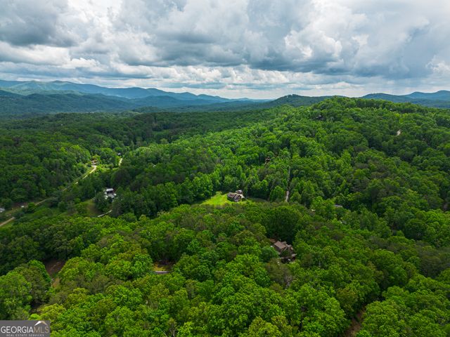 TRACT 1 Century Lane, Blue Ridge, GA 30513