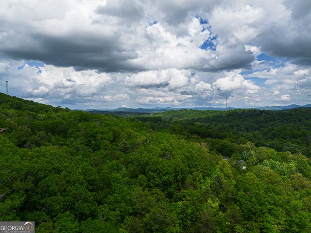 TRACT 1 Century Lane, Blue Ridge, GA 30513