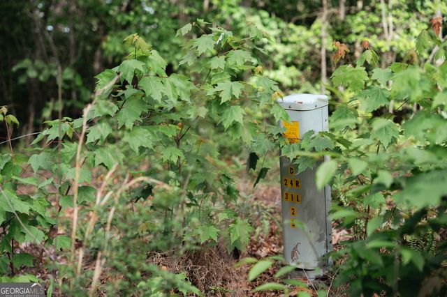 TRACT 1 Century Lane, Blue Ridge, GA 30513