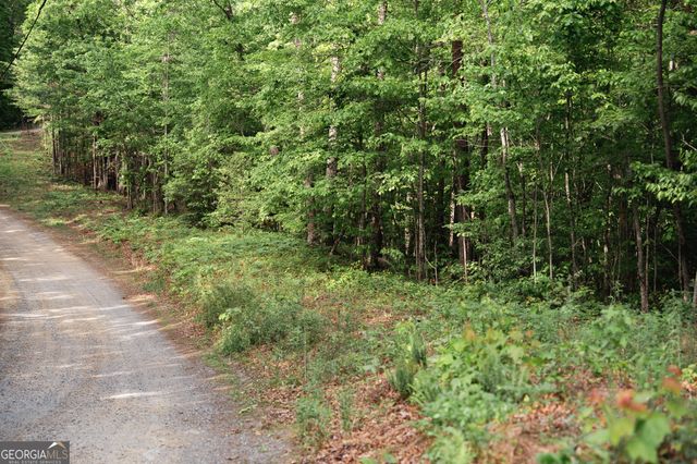TRACT 1 Century Lane, Blue Ridge, GA 30513