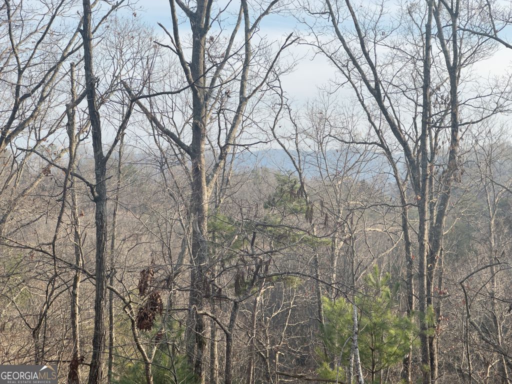 TRACT 1 Century Lane, Blue Ridge, GA 30513