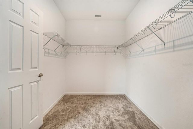 1105 LADY GOULDIAN COURT, Tampa, FL 33613