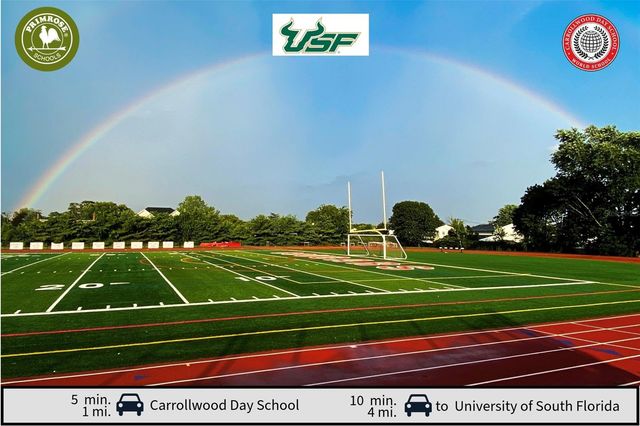 1105 LADY GOULDIAN COURT, Tampa, FL 33613