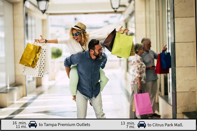 1105 LADY GOULDIAN COURT, Tampa, FL 33613