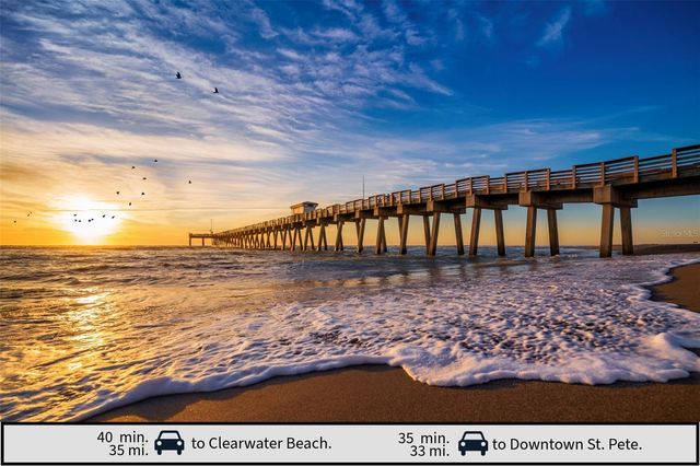 1105 LADY GOULDIAN COURT, Tampa, FL 33613