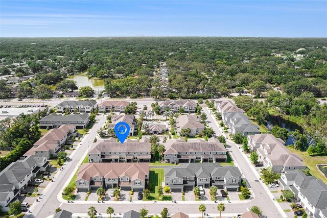 1105 LADY GOULDIAN COURT, Tampa, FL 33613