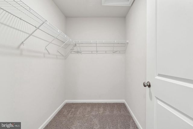 1295 PURPLE ORCHID LOOP, Salisbury, MD 21801