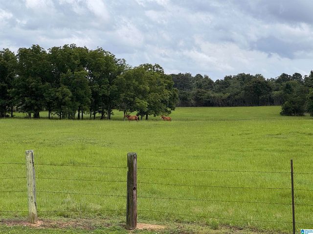 5571 COUNTY ROAD 24, Verbena, AL 36091