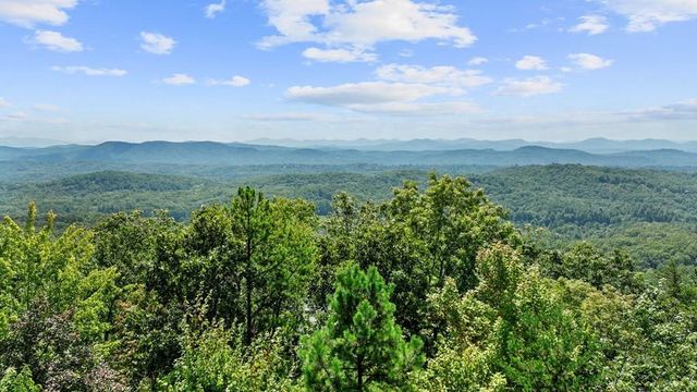 279 Rising Star Lane, Mineral Bluff, GA 30559