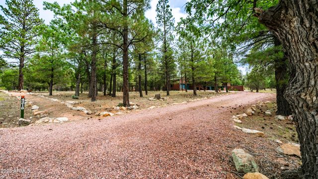 4218 STARGAZER Drive, Happy Jack, AZ 86024