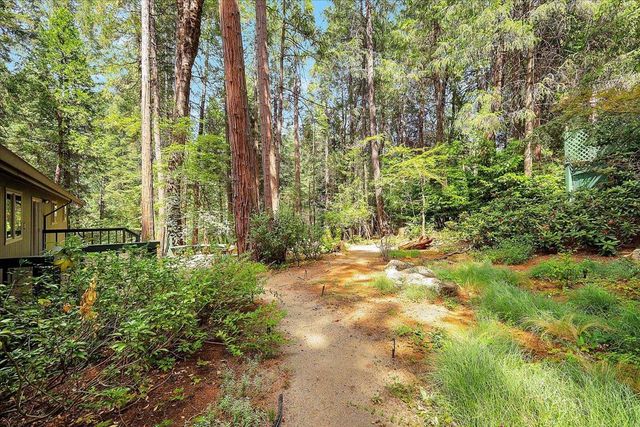 12593 Red Dog Rd, Nevada City, CA 95959
