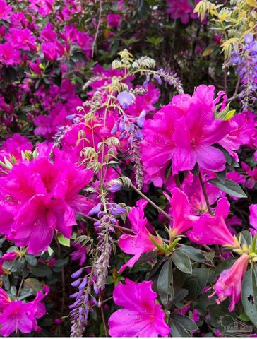 5055 Serry Ln, Pace, FL 32571