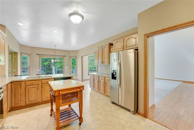 10785 Ellison Creek Drive, Concord Twp, OH 44077
