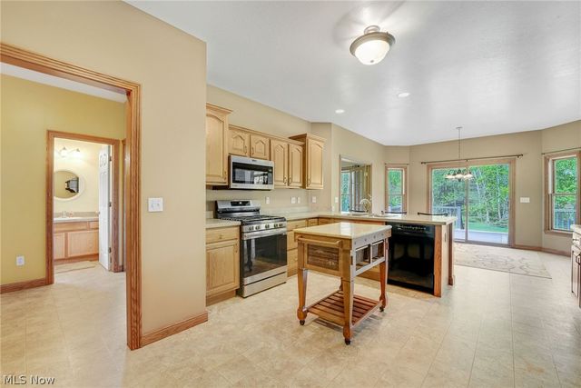10785 Ellison Creek Drive, Concord Twp, OH 44077