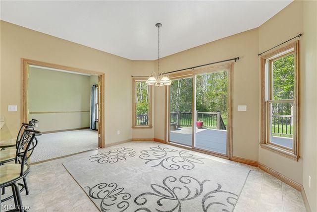 10785 Ellison Creek Drive, Concord Twp, OH 44077