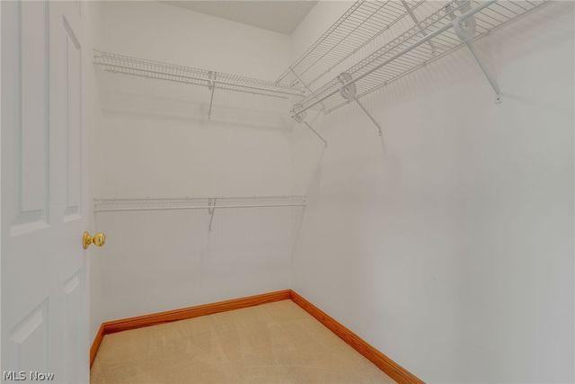 10785 Ellison Creek Drive, Concord Twp, OH 44077