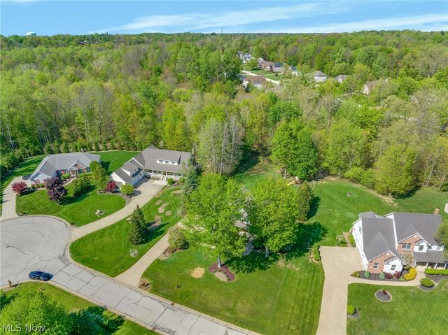10785 Ellison Creek Drive, Concord Twp, OH 44077