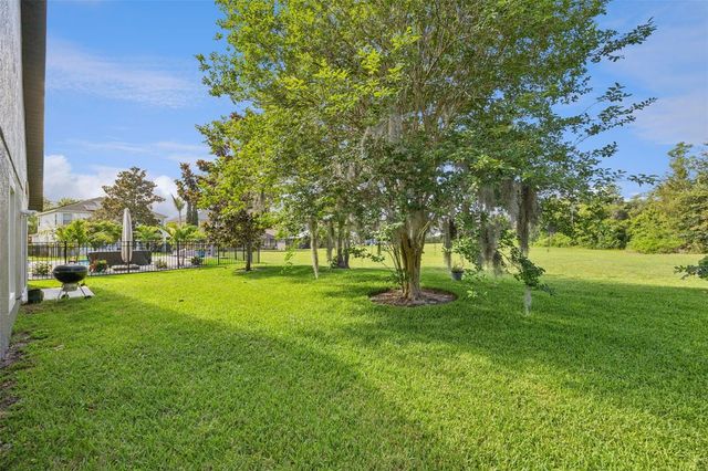 10736 MERE PARKWAY, Orlando, FL 32832