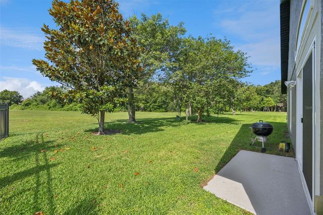 10736 MERE PARKWAY, Orlando, FL 32832