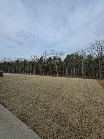 317 Carp Ct, Antioch, TN 37013