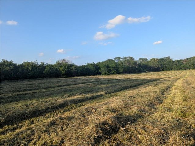 6426 NE Witt Road, Turney, MO 64493