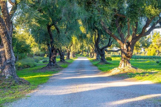 2480 Roblar Avenue, Los Olivos, CA 93441