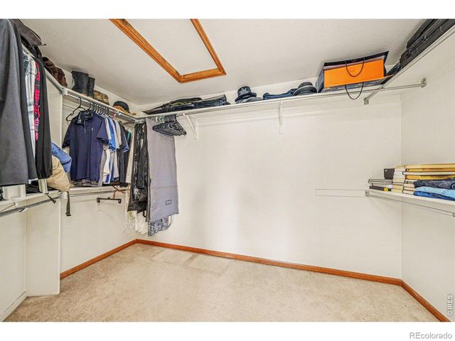 204 Pelican Cove, Windsor, CO 80550