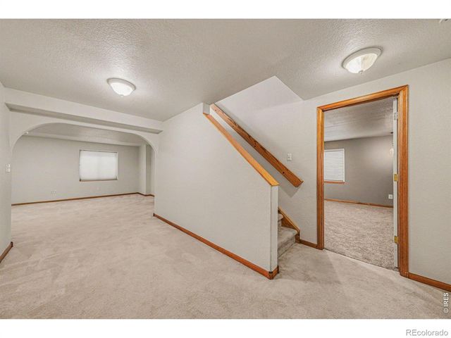 204 Pelican Cove, Windsor, CO 80550