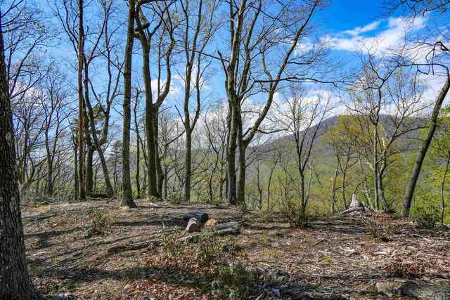 0 Ragans Point, Tryon, SC 28782
