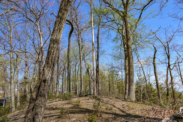 0 Ragans Point, Tryon, SC 28782