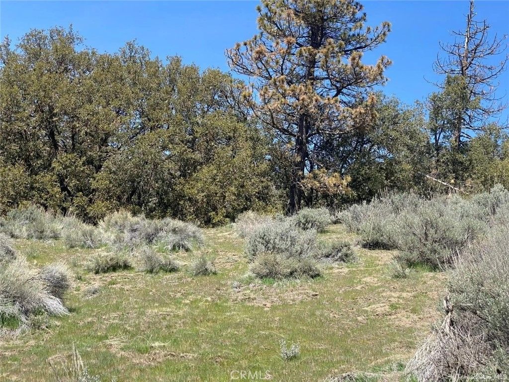 25301 Paramount, Tehachapi, CA 93561