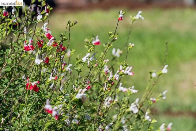 1516 Merced St, Richmond, CA 94804