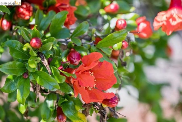 1516 Merced St, Richmond, CA 94804