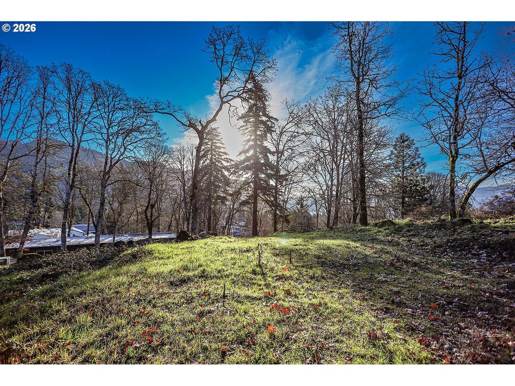 912 HILLSIDE Ln, White Salmon, WA 98672