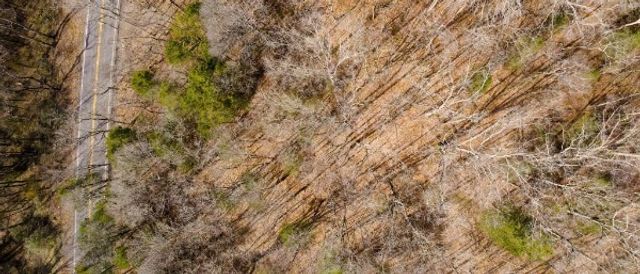 0 Whites Creek Pike, Whites Creek, TN 37189