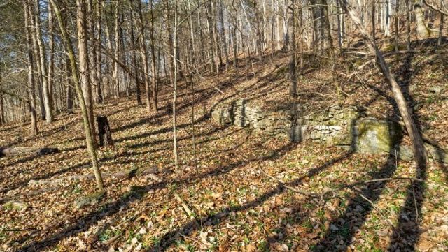 0 Whites Creek Pike, Whites Creek, TN 37189