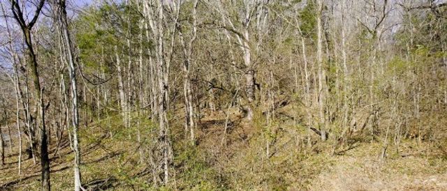 0 Whites Creek Pike, Whites Creek, TN 37189
