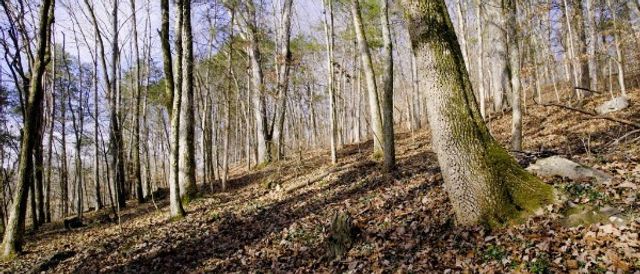 0 Whites Creek Pike, Whites Creek, TN 37189