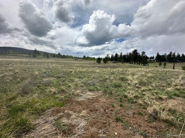 1326 Kaufman Road, Hartsel, CO 80449