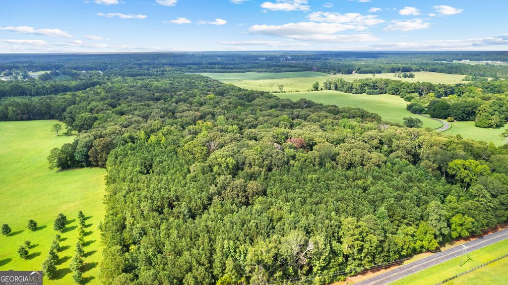 0 Sid Hunter Road LOT 1, Sharpsburg, GA 30277 — exterior