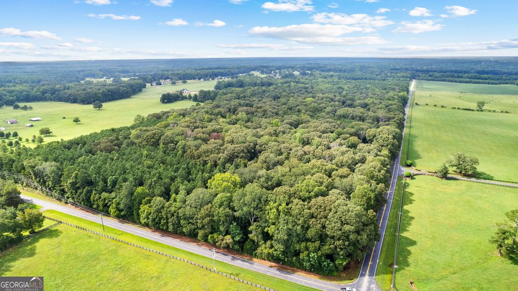 0 Sid Hunter Road LOT 1, Sharpsburg, GA 30277 — photo 2